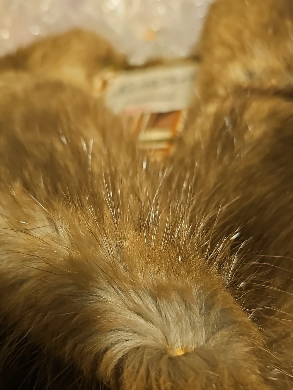Women's Brown Fur Button-Front Coat - Picture 9 of 13